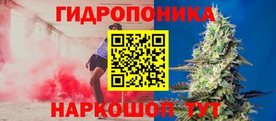амф Краснокаменск