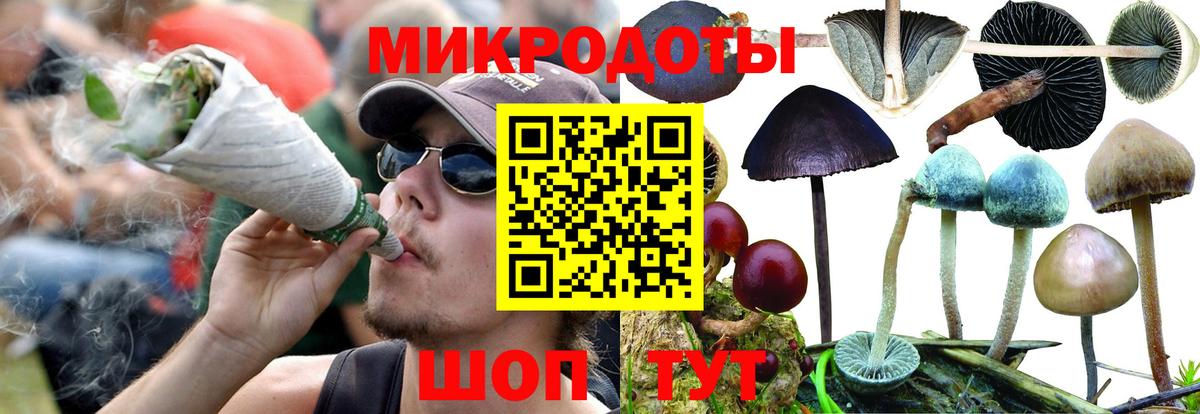 Галлюциногенные грибы Cubensis Домодедово