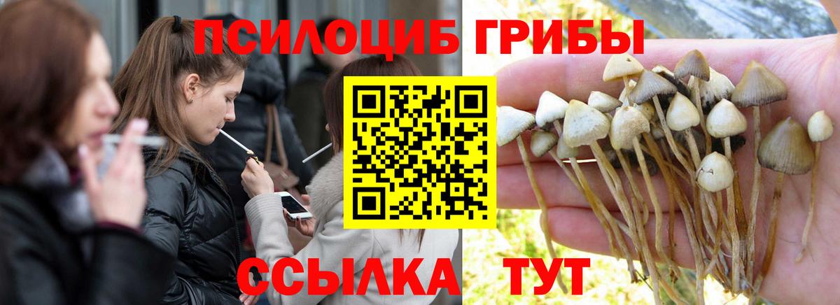 Галлюциногенные грибы Cubensis  Вход с VPN  Галлюциногенные грибы прущие грибы  Домодедово 